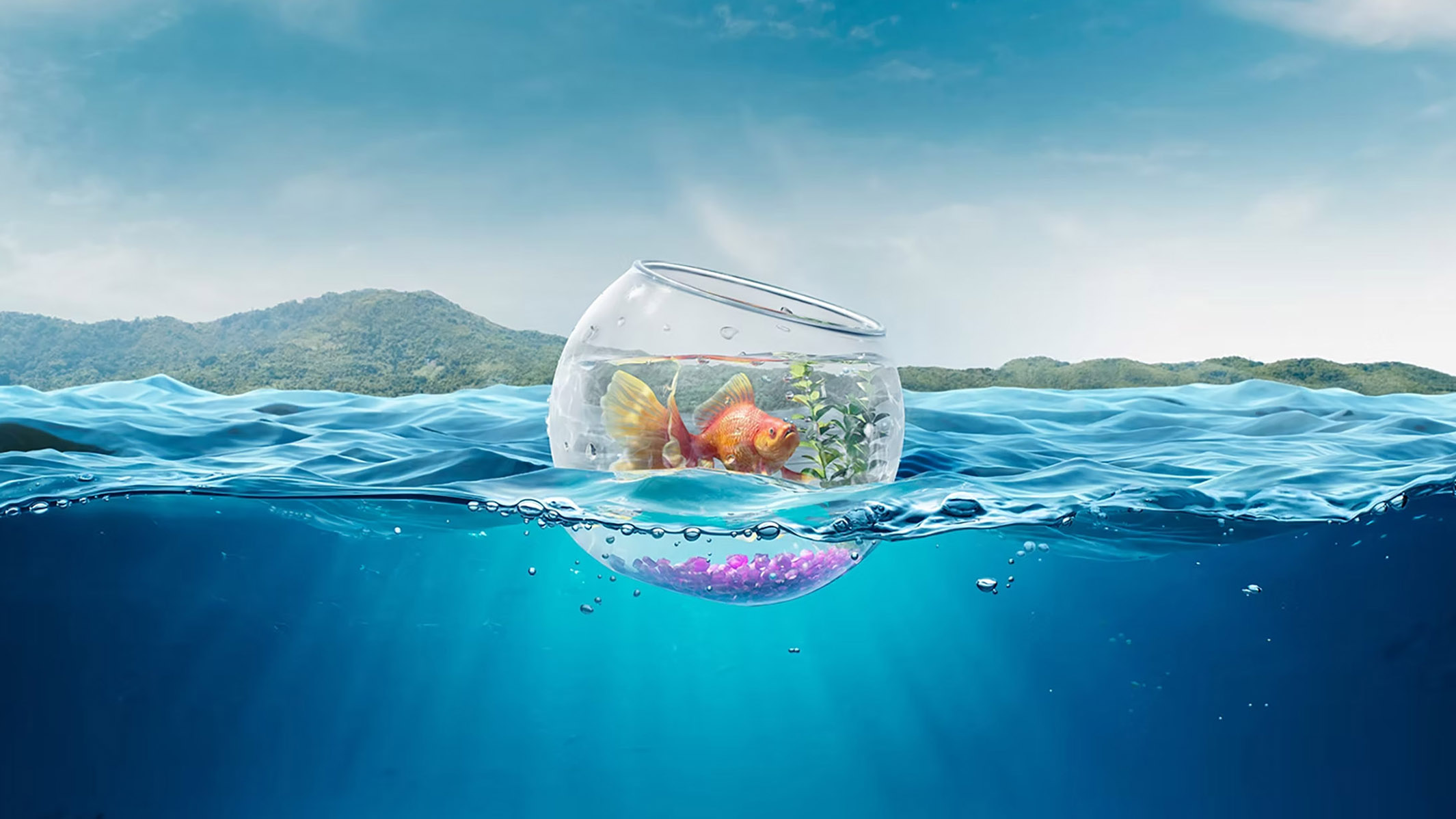 theimage, studio, CGI, creative, retouch, illustration