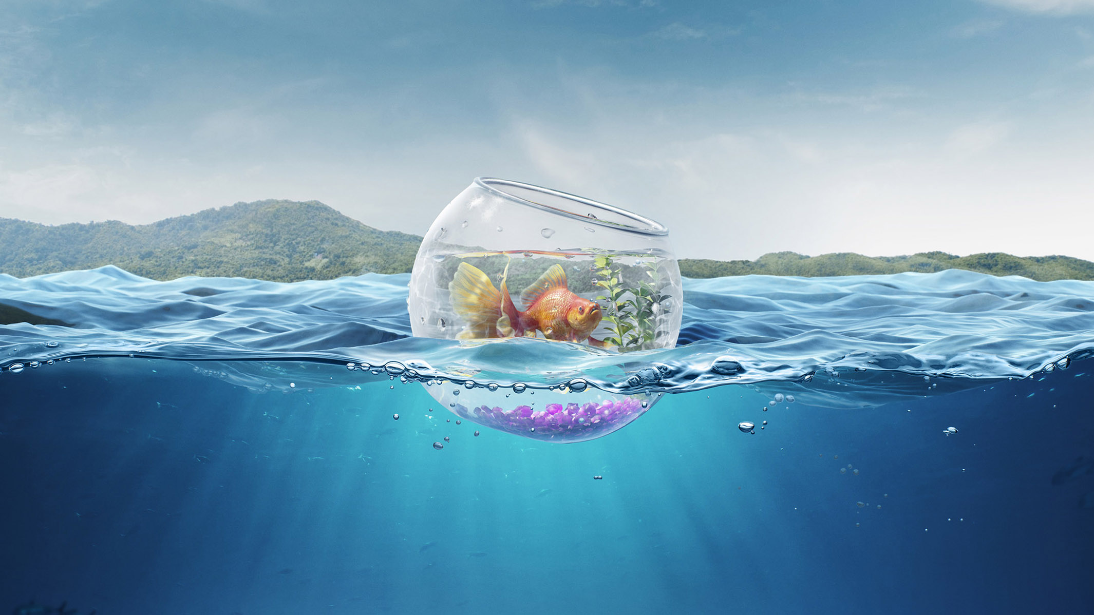 theimage, studio, CGI, creative, retouch, illustration