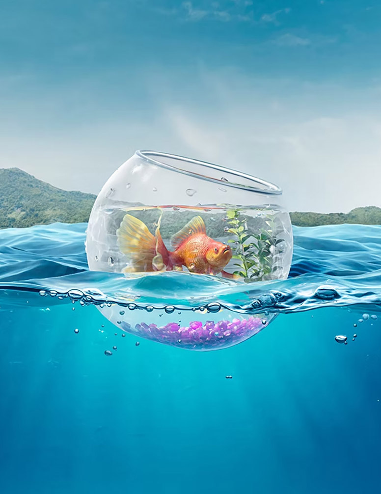 theimage, studio, CGI, creative, retouch, illustration, Archive