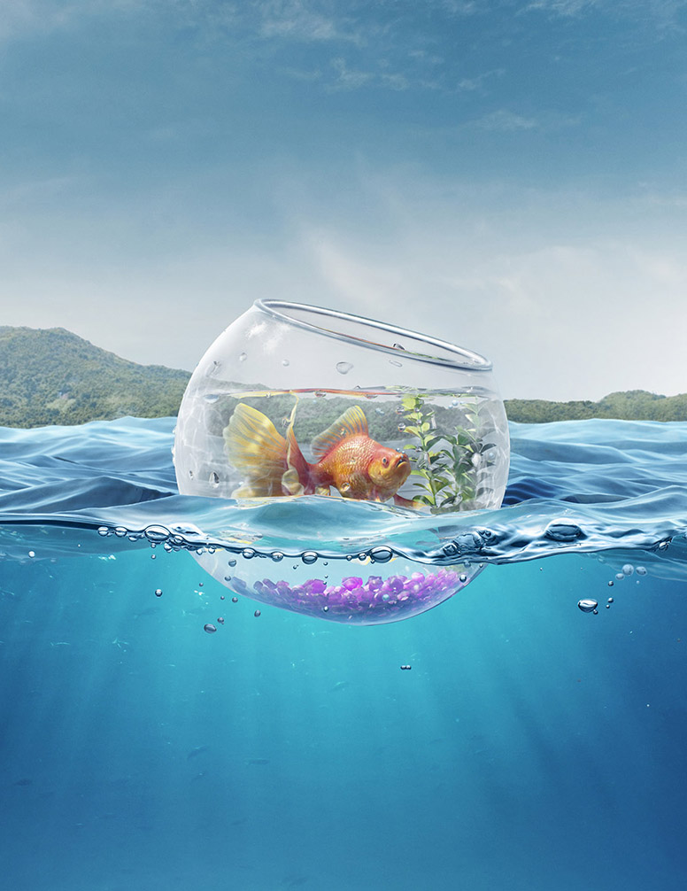 theimage, studio, CGI, creative, retouch, illustration, Archive