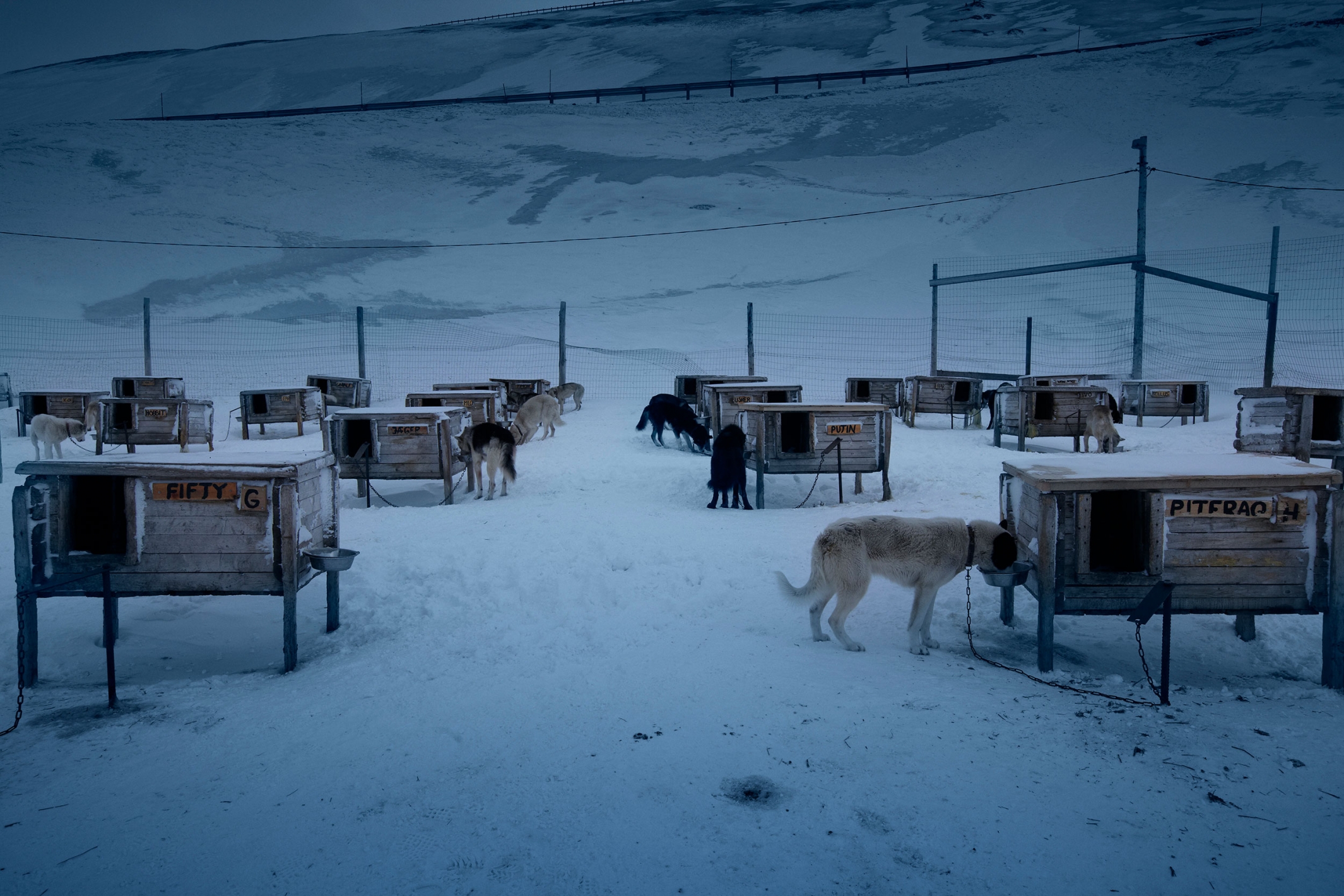 PhilipsWake-up Light